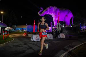 BIB: 
                            <button type="button" onclick="openModal(26552108)" class="btn btn-primary btn-sm float-right btn-popup" data-toggle="modal" data-target=".modal-high-quality">
                        <i class="fas fa-shopping-cart"></i> Add to Cart
                    </button>
                                            <button type="button" onclick="isThisMe(26552108, true)" class="btn btn-success btn-sm float-right btn-popup btn-isme hidden" data-toggle="tooltip" data-placement="bottom" title="นี่คือรูปของคุณใช่ไหม คลิกที่นี่เพื่อเอาเข้าอัลบั้ม">
                        <i class="fas fa-plus"></i> Add to album
                    </button>
                    <button type="button" onclick="isThisMe(26552108, false)" class="btn btn-warning btn-sm float-right btn-popup btn-isnotme hidden">
                        <i class="fas fa-ban"></i> Remove from album
                    </button>